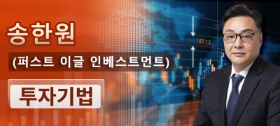 FEI자산관리그룹 / FEIKRX CEO 송한원 (퍼스트 이글 인베스트먼트) : 투자기법